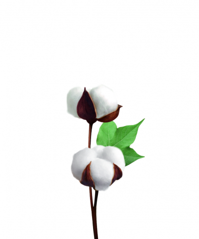 BILKA JABÓN ÍNTIMO EN ESPUMA DE ALGODÓN(140 ml) - Imagen 2